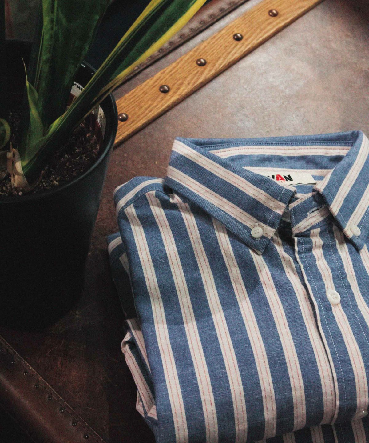 ショートBDシャツ＜ストライプ＞ ｜ VAN STORE